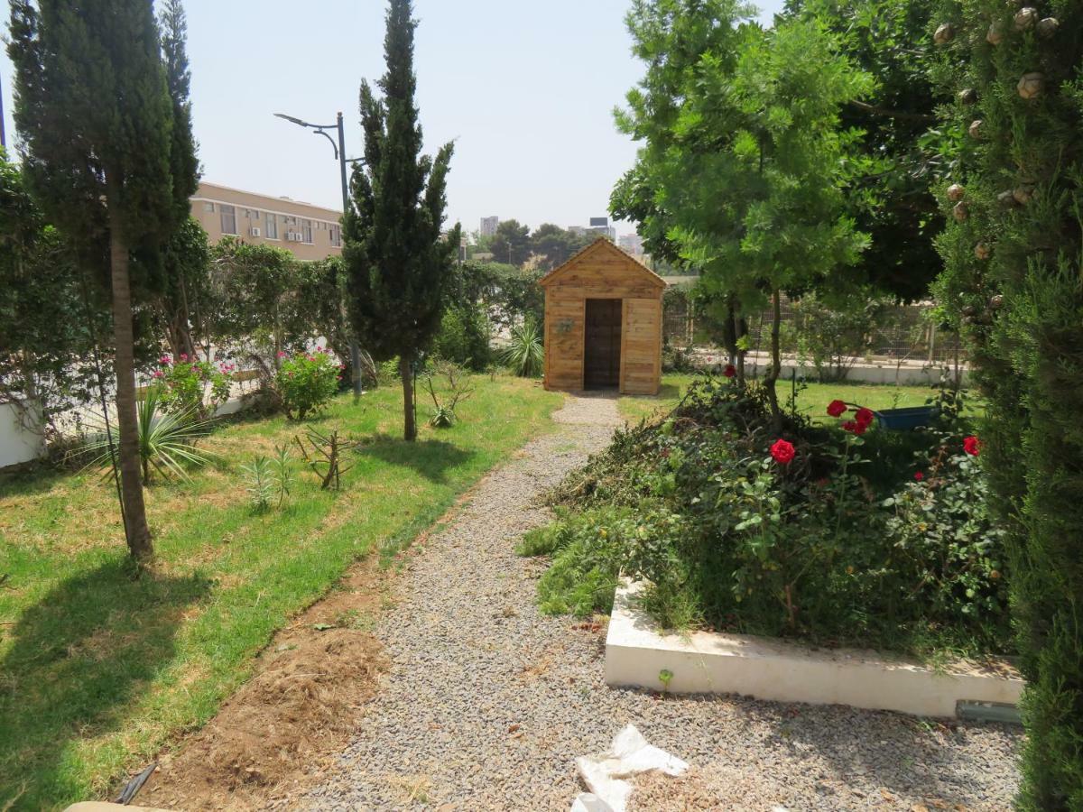Ibis Oran Les Falaises Kültér fotó